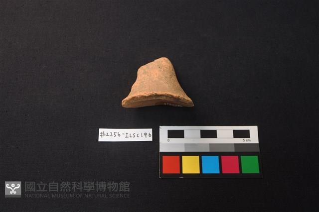 陶片藏品圖，第2張