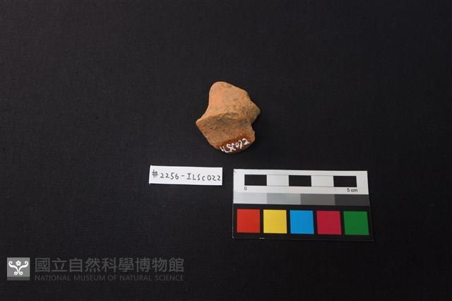 陶片藏品圖，第2張