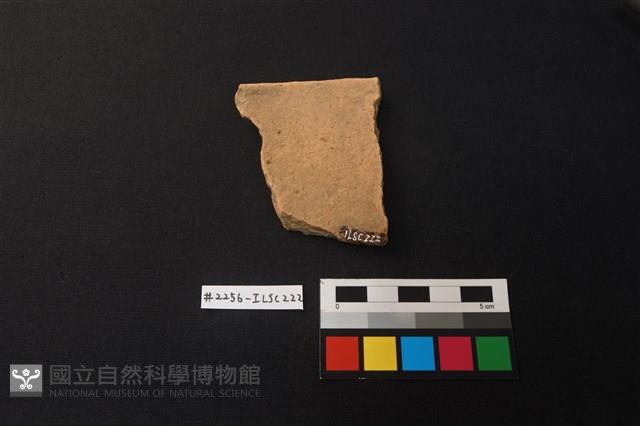 陶片藏品圖，第2張