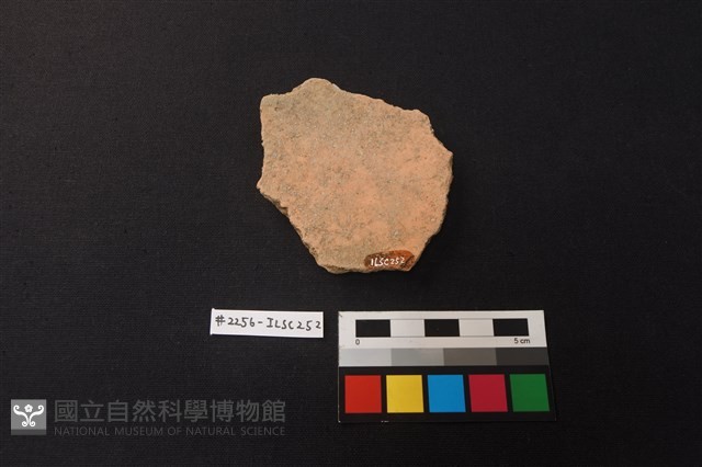 陶片藏品圖，第2張