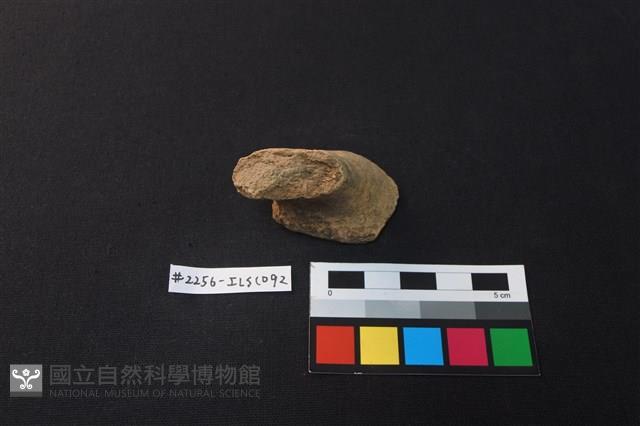 陶片藏品圖，第2張