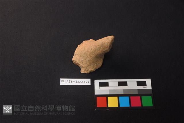 陶片藏品圖，第2張