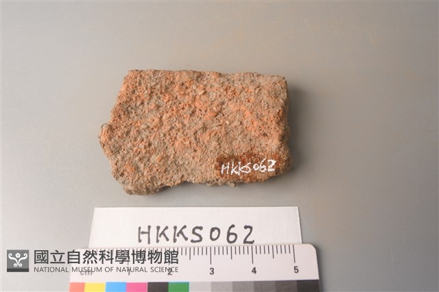 陶片藏品圖，第2張