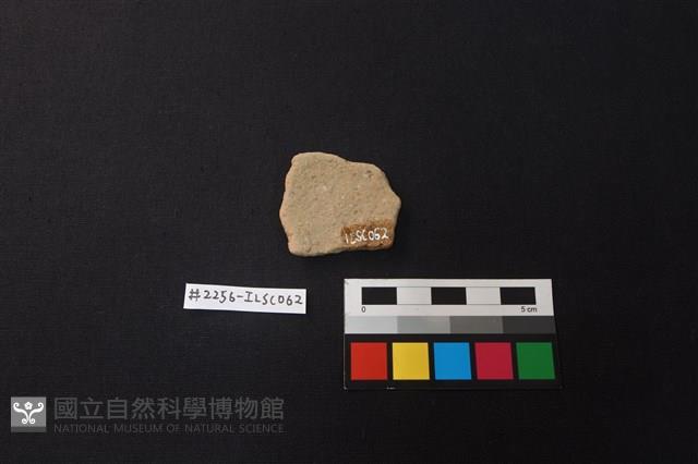 陶片藏品圖，第2張