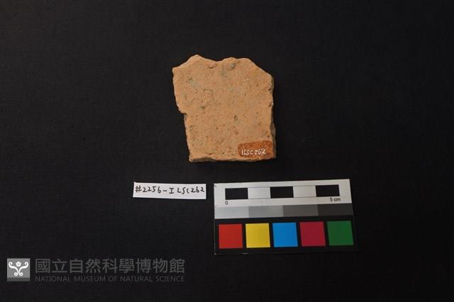 陶片藏品圖，第2張