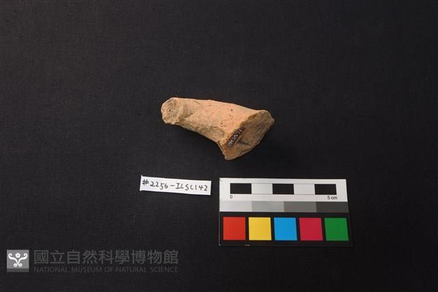 陶片藏品圖，第2張