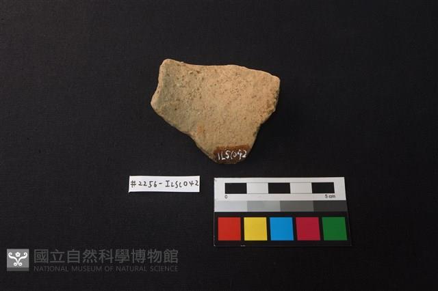 陶片藏品圖，第2張