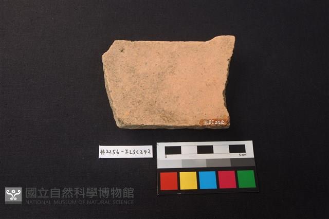 陶片藏品圖，第2張