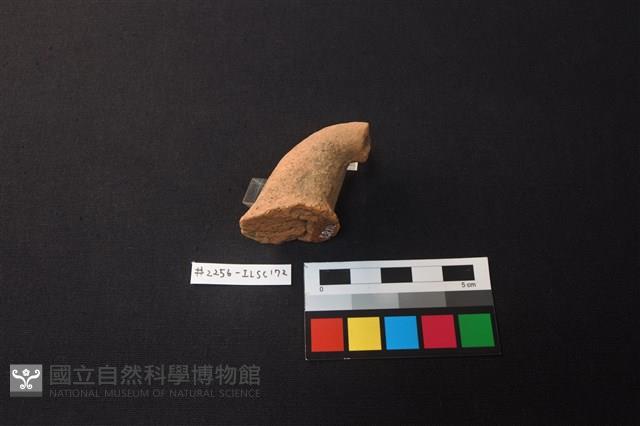 陶片藏品圖，第2張