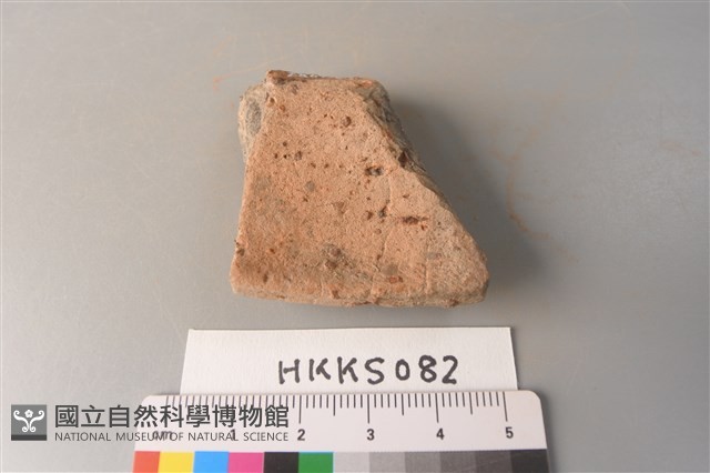 陶片藏品圖，第2張
