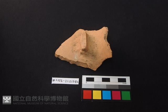 陶片藏品圖，第2張