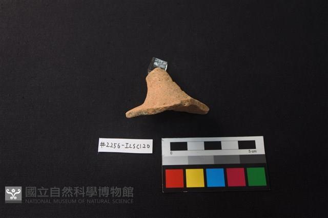 陶片藏品圖，第2張