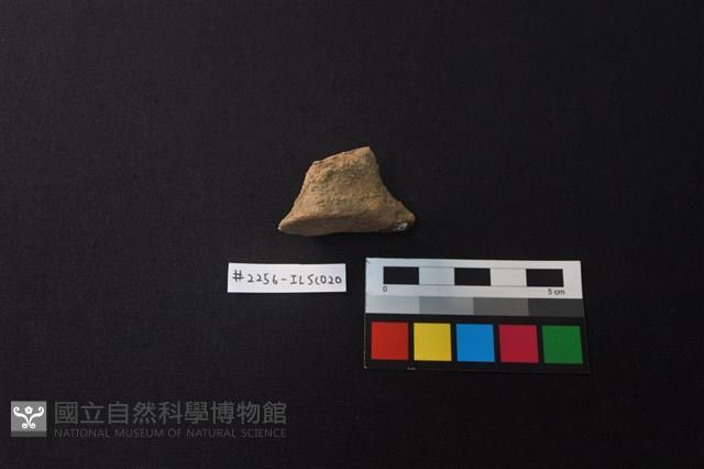 陶片藏品圖，第2張