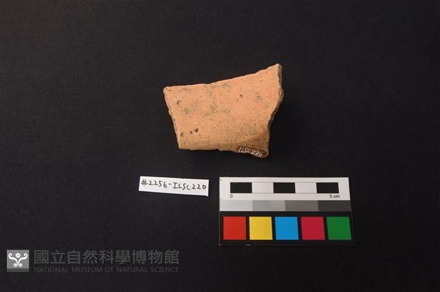 陶片藏品圖，第2張