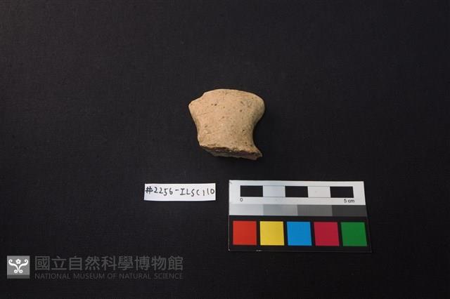 陶片藏品圖，第2張