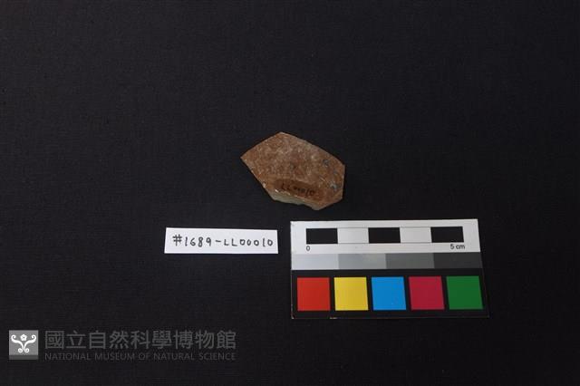 陶片藏品圖，第2張