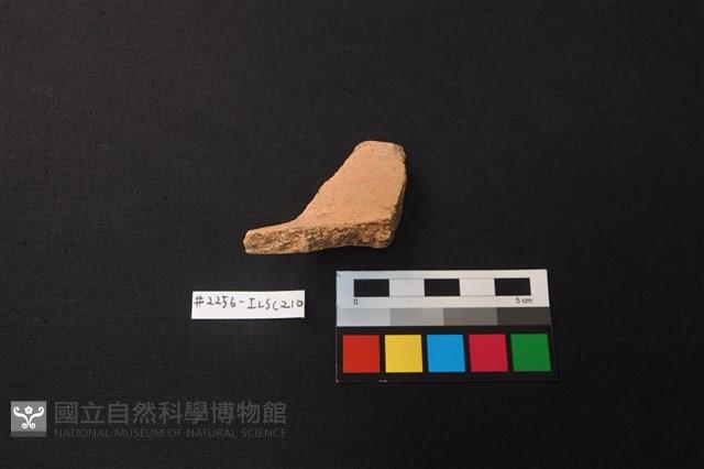 陶片藏品圖，第2張