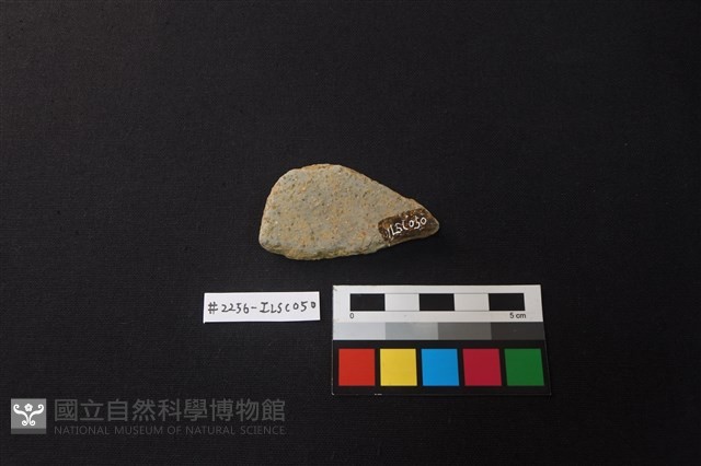 陶片藏品圖，第2張
