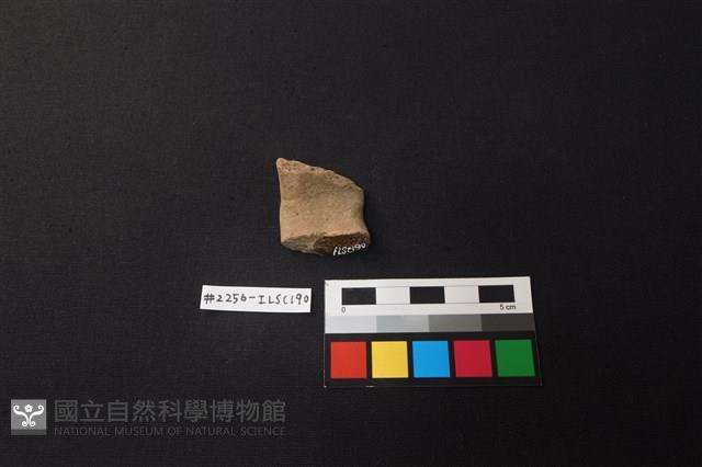 陶片藏品圖，第2張