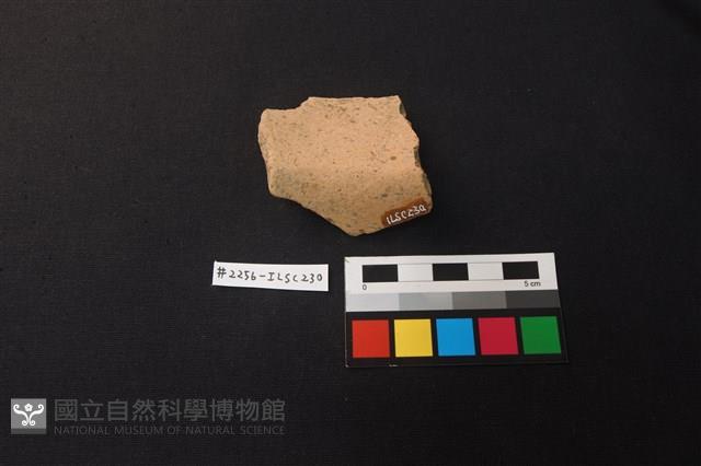 陶片藏品圖，第2張