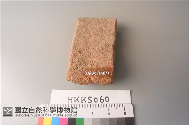陶片藏品圖，第2張