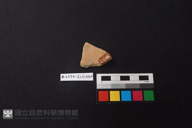 陶片藏品圖，第2張