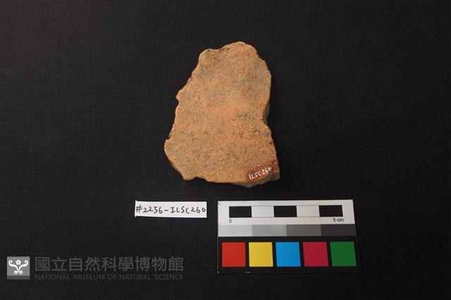 陶片藏品圖，第2張