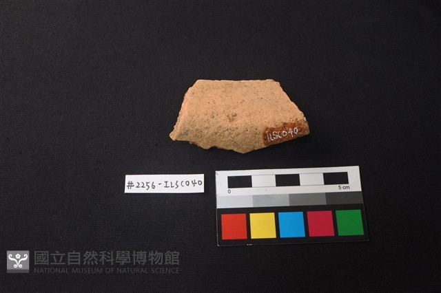 陶片藏品圖，第2張
