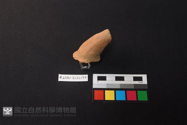 陶片藏品圖，第2張