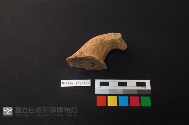 陶片藏品圖，第2張