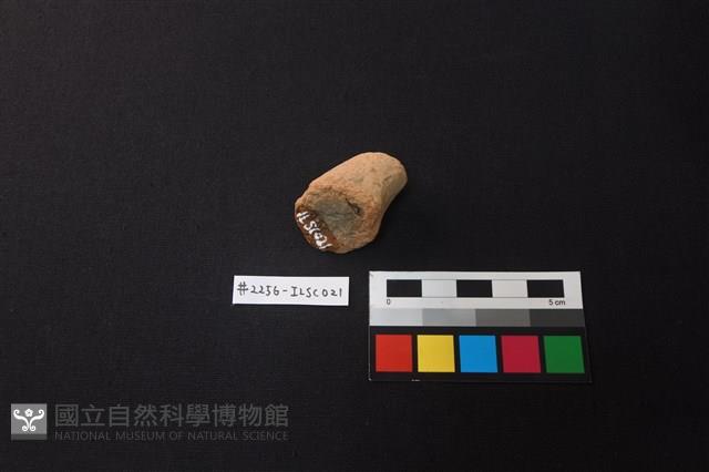 陶片藏品圖，第2張