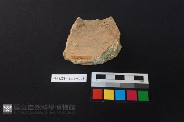 陶片藏品圖，第2張