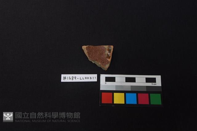 陶片藏品圖，第2張