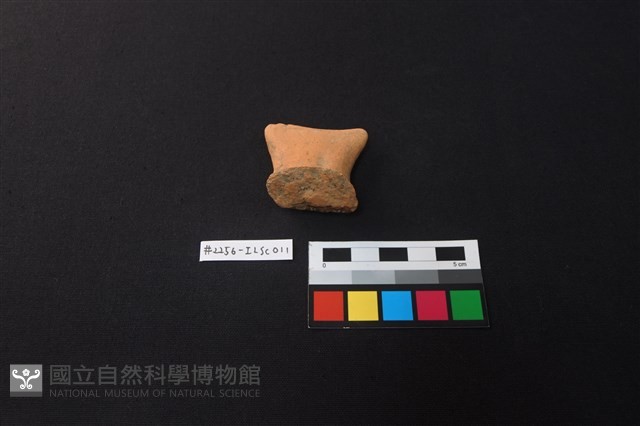 陶片藏品圖，第2張