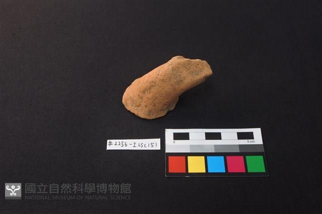 陶片藏品圖，第2張