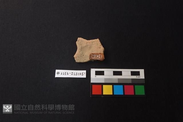 陶片藏品圖，第2張