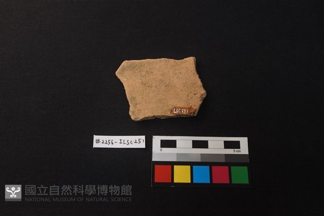 陶片藏品圖，第2張