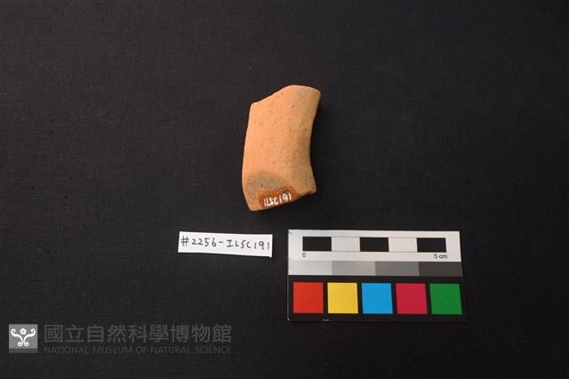 陶片藏品圖，第2張