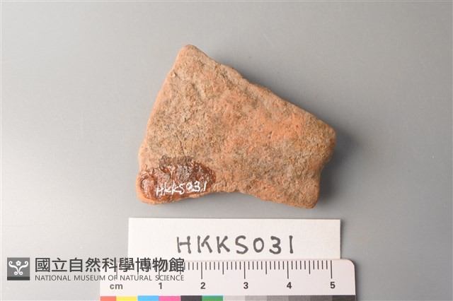 陶片藏品圖，第2張