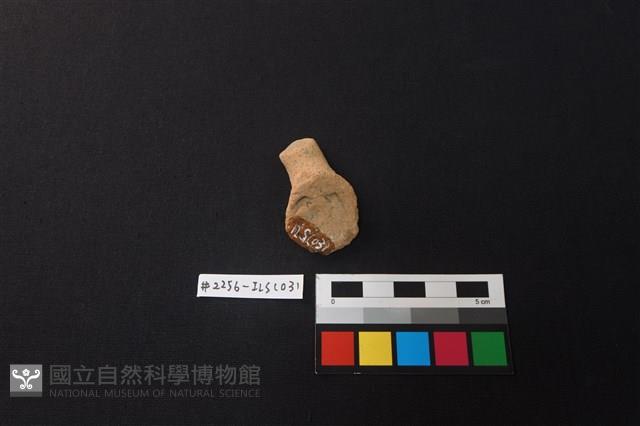 陶片藏品圖，第2張