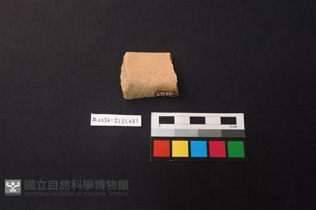 陶片藏品圖，第2張