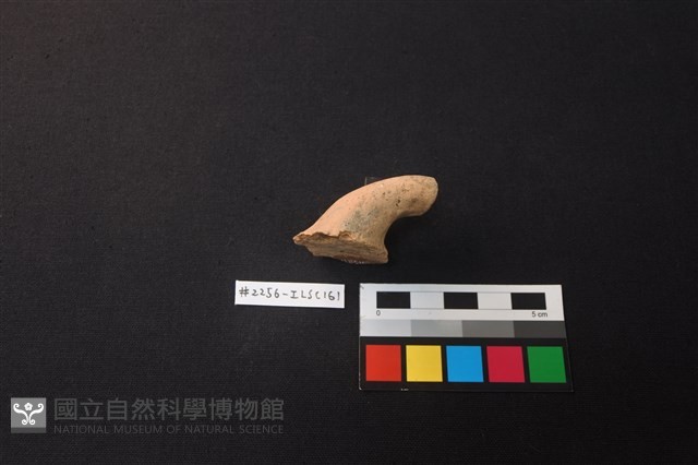 陶片藏品圖，第2張