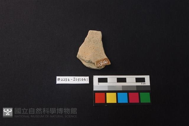 陶片藏品圖，第2張