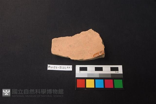 陶片藏品圖，第2張