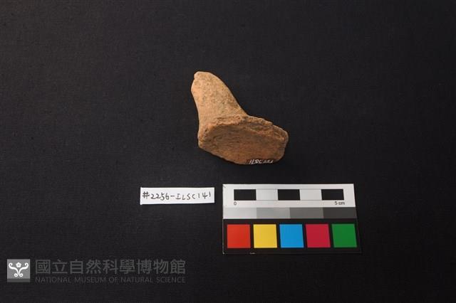 陶片藏品圖，第2張