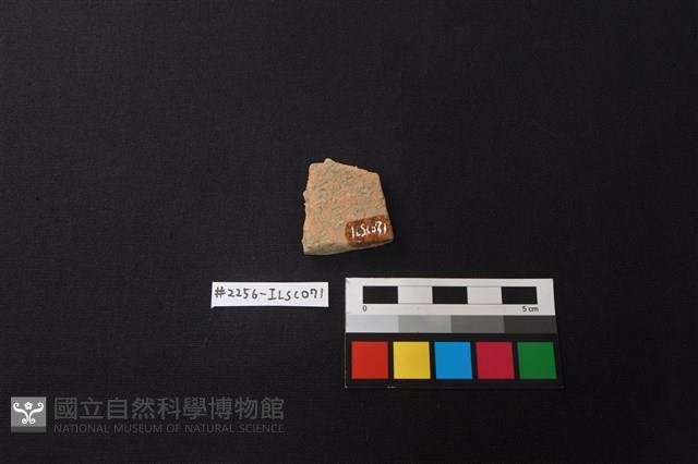 陶片藏品圖，第2張