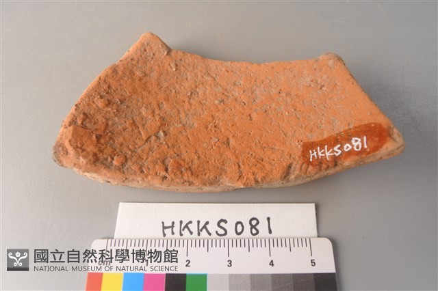 陶片藏品圖，第2張