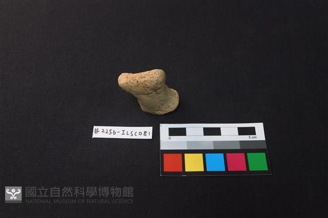 陶蓋藏品圖，第2張