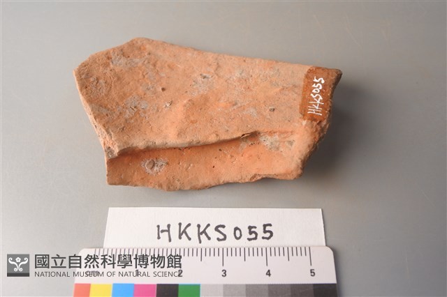 陶片藏品圖，第2張