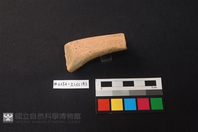 陶片藏品圖，第2張